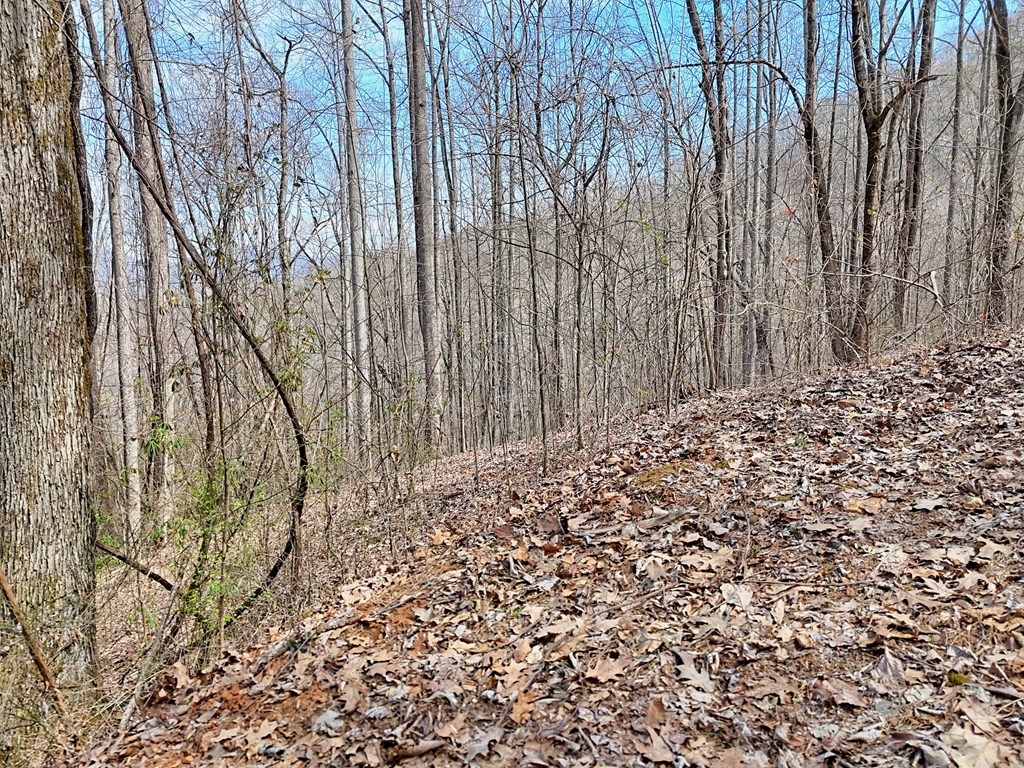 #2 High Meadows Drive Property Photo 3