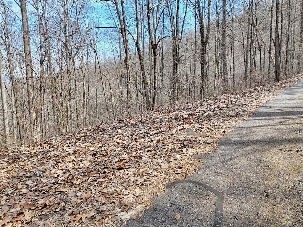 #2 High Meadows Drive Property Photo 4