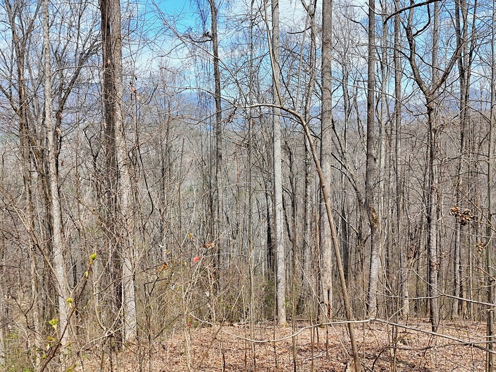 #2 High Meadows Drive Property Photo 5