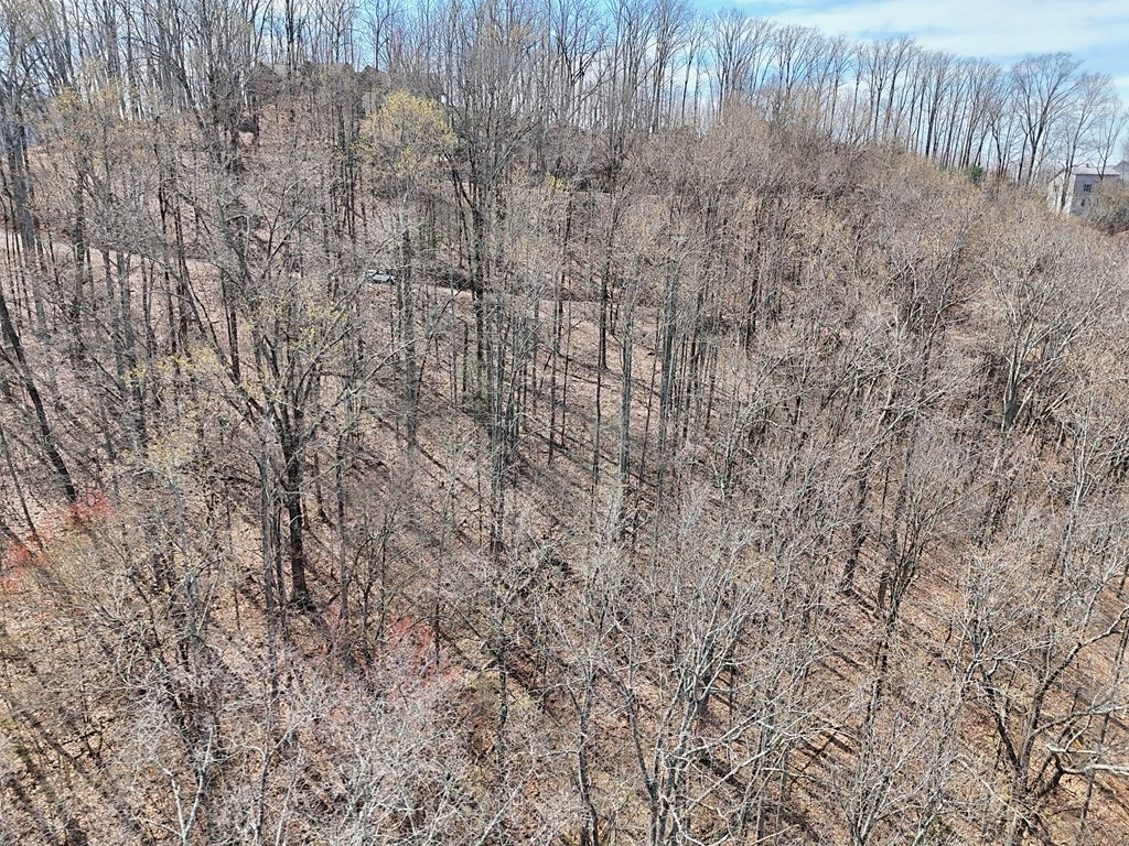 #2 High Meadows Drive Property Photo 8
