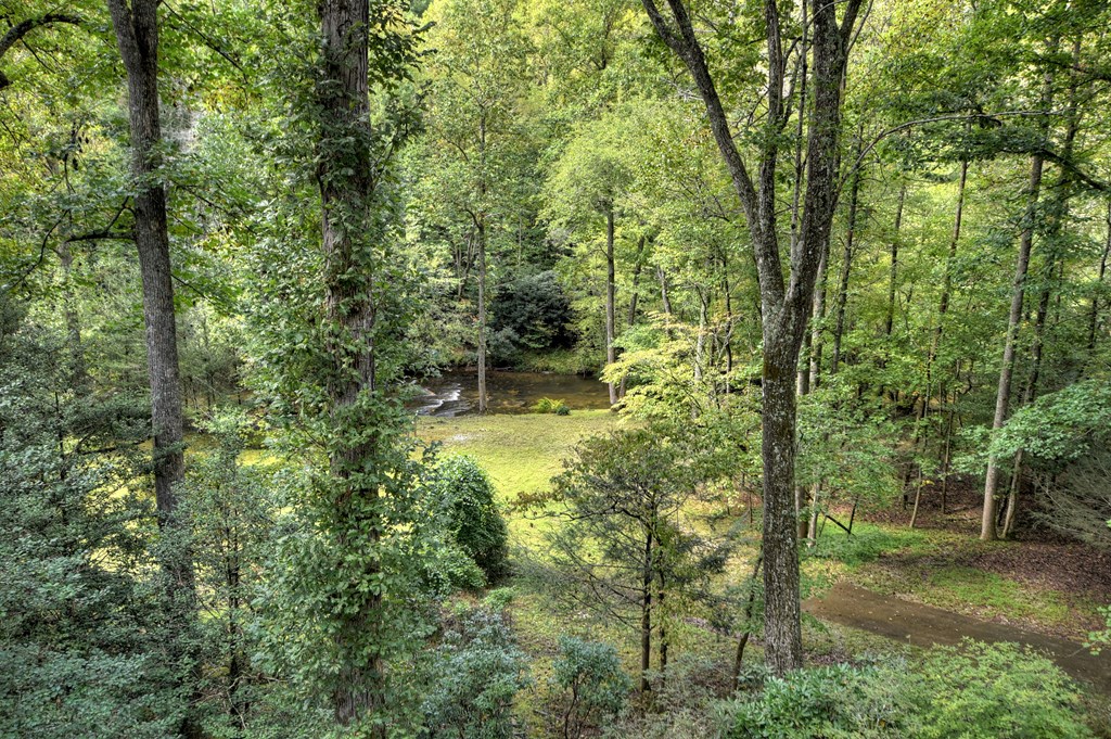 324 Cooper Creek Drive Property Photo 39