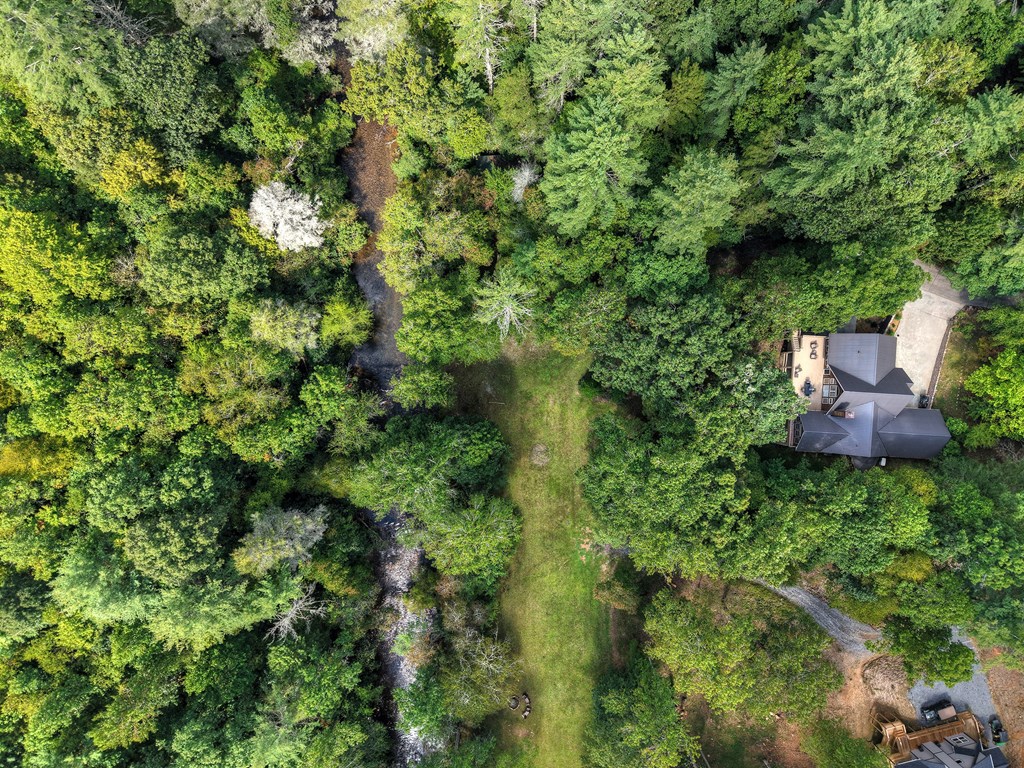 324 Cooper Creek Drive Property Photo 47