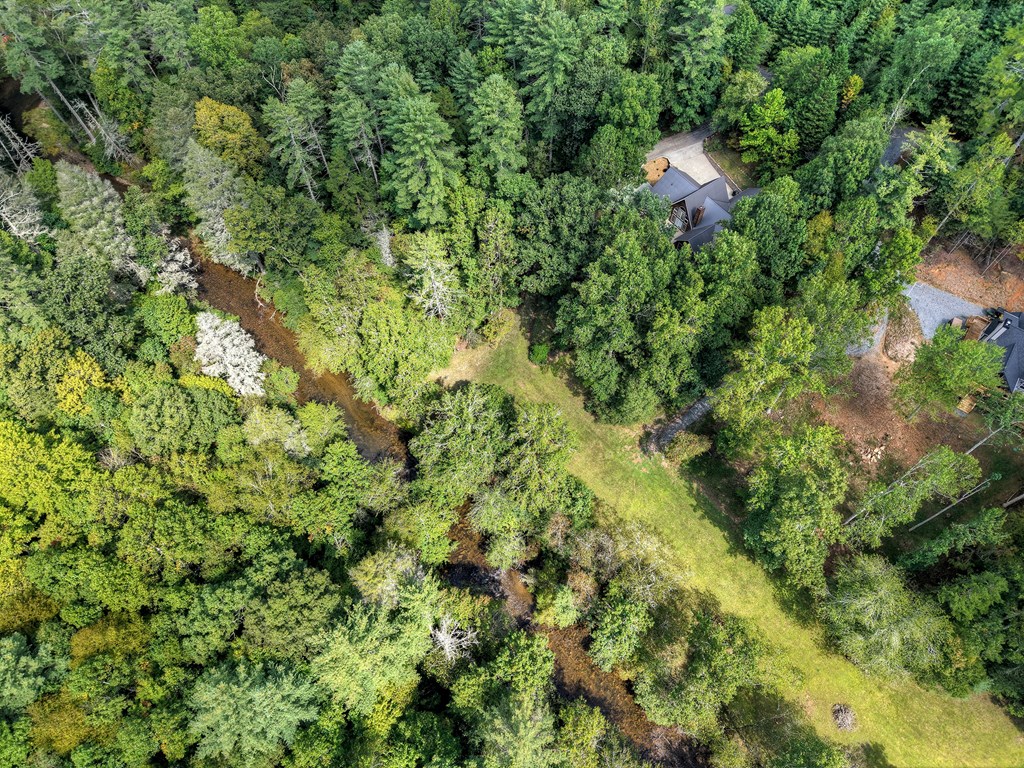 324 Cooper Creek Drive Property Photo 48