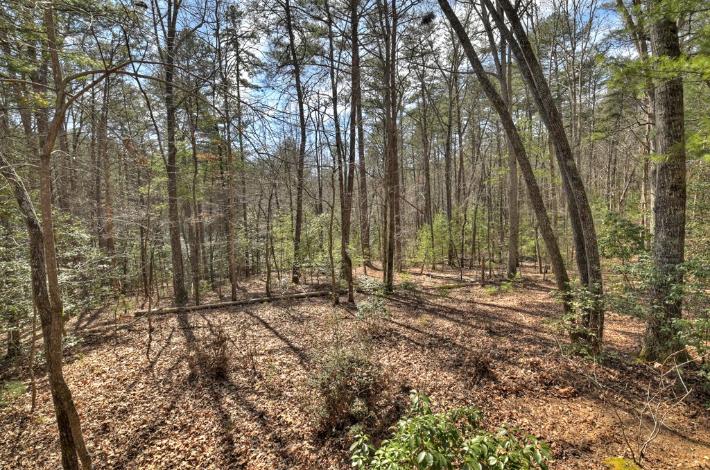 331 Chestnut Gap Road Property Photo 25