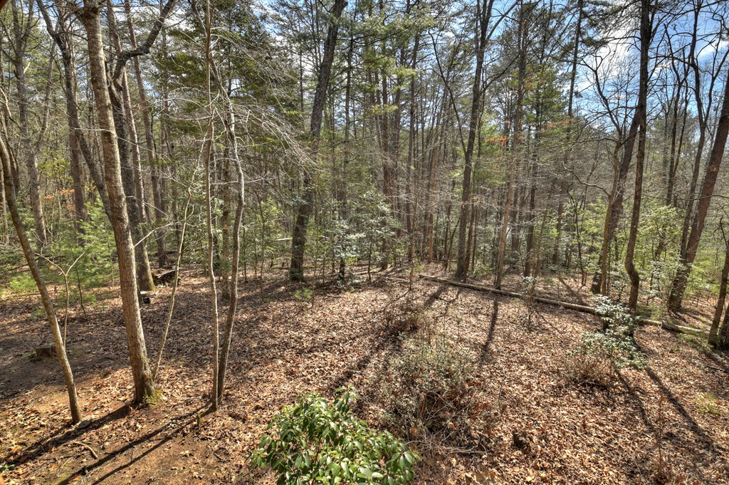 331 Chestnut Gap Road Property Photo 26
