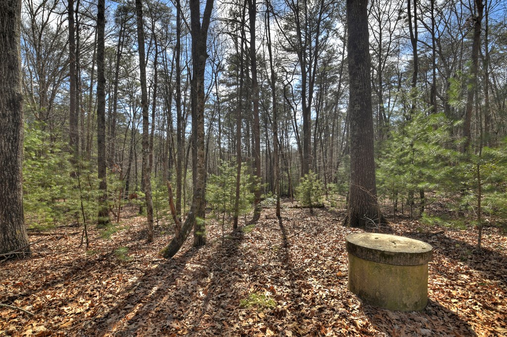 331 Chestnut Gap Road Property Photo 31