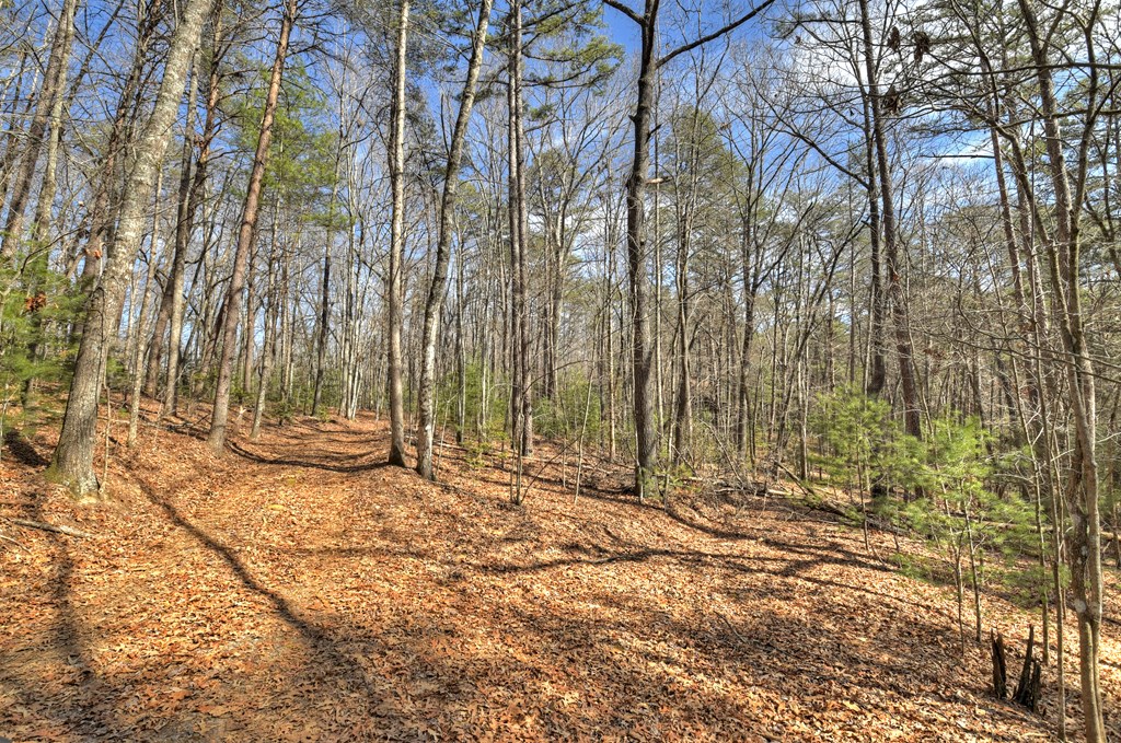 331 Chestnut Gap Road Property Photo 32
