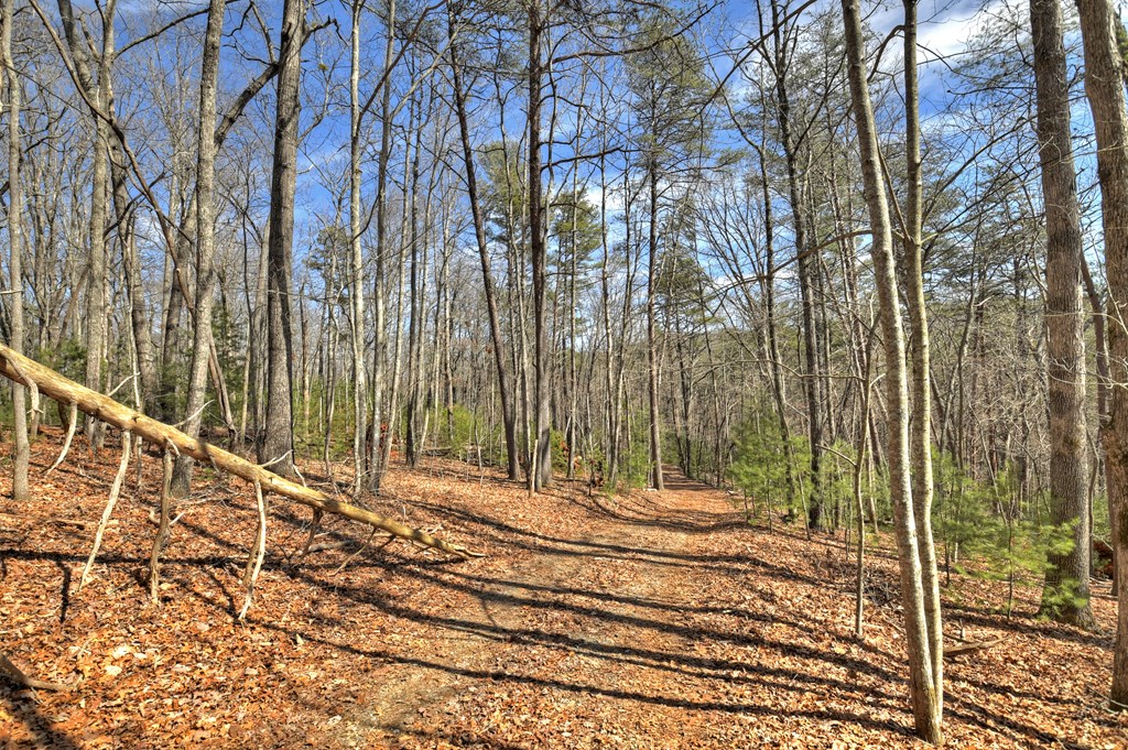 331 Chestnut Gap Road Property Photo 33