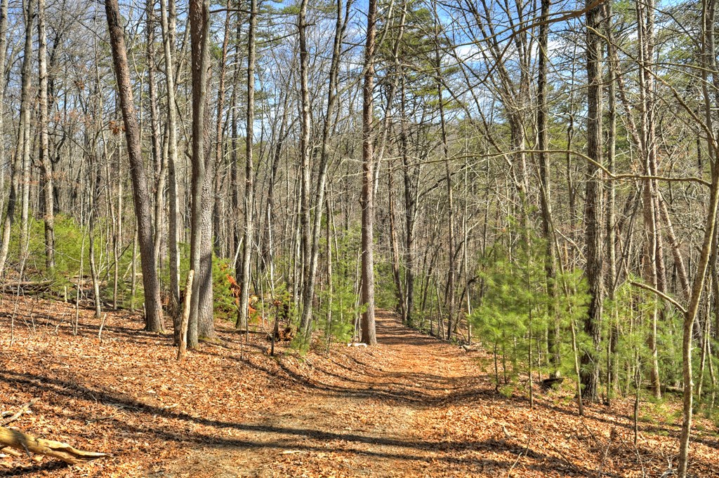 331 Chestnut Gap Road Property Photo 34