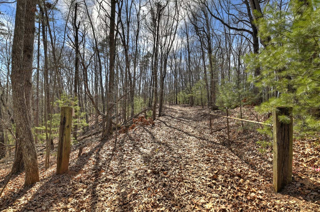 331 Chestnut Gap Road Property Photo 35