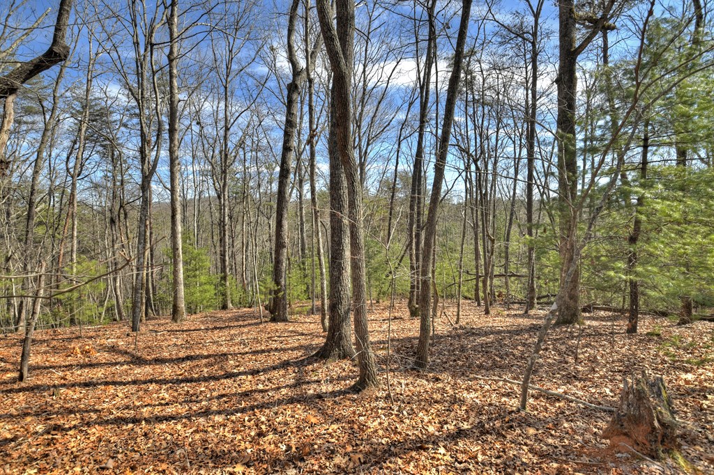 331 Chestnut Gap Road Property Photo 37