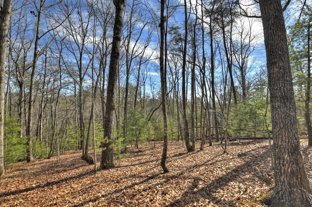 331 Chestnut Gap Road Property Photo 38