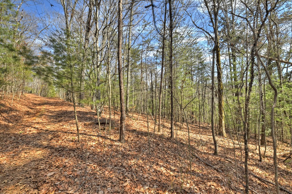 331 Chestnut Gap Road Property Photo 40