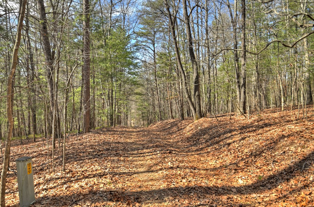 331 Chestnut Gap Road Property Photo 42