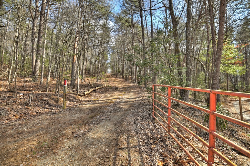 331 Chestnut Gap Road Property Photo 43