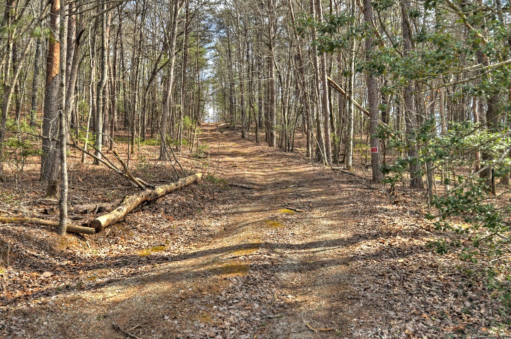 331 Chestnut Gap Road Property Photo 44