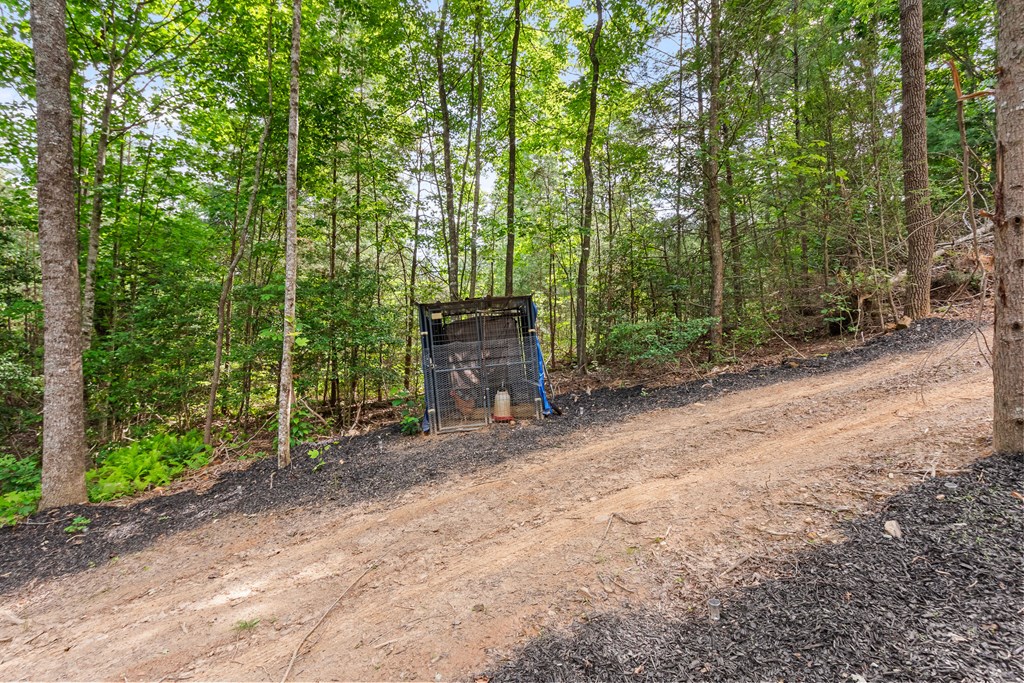 1214 Marrestop Road Property Photo 73