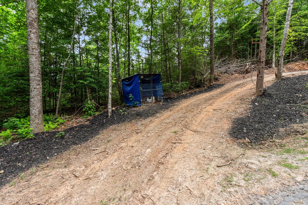 1214 Marrestop Road Property Photo 74
