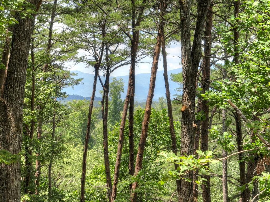 58 Whitetail Holw Property Photo 6