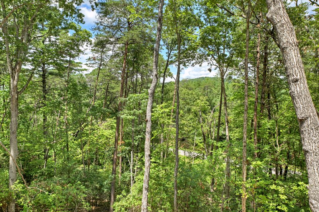 58 Whitetail Holw Property Photo 33