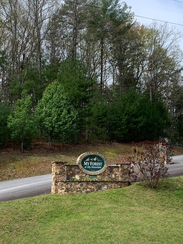 58 Whitetail Holw Property Photo 34