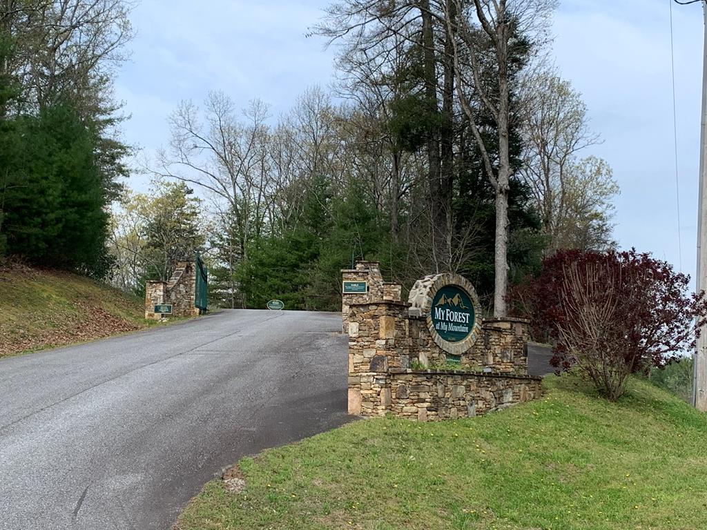 58 Whitetail Holw Property Photo 35