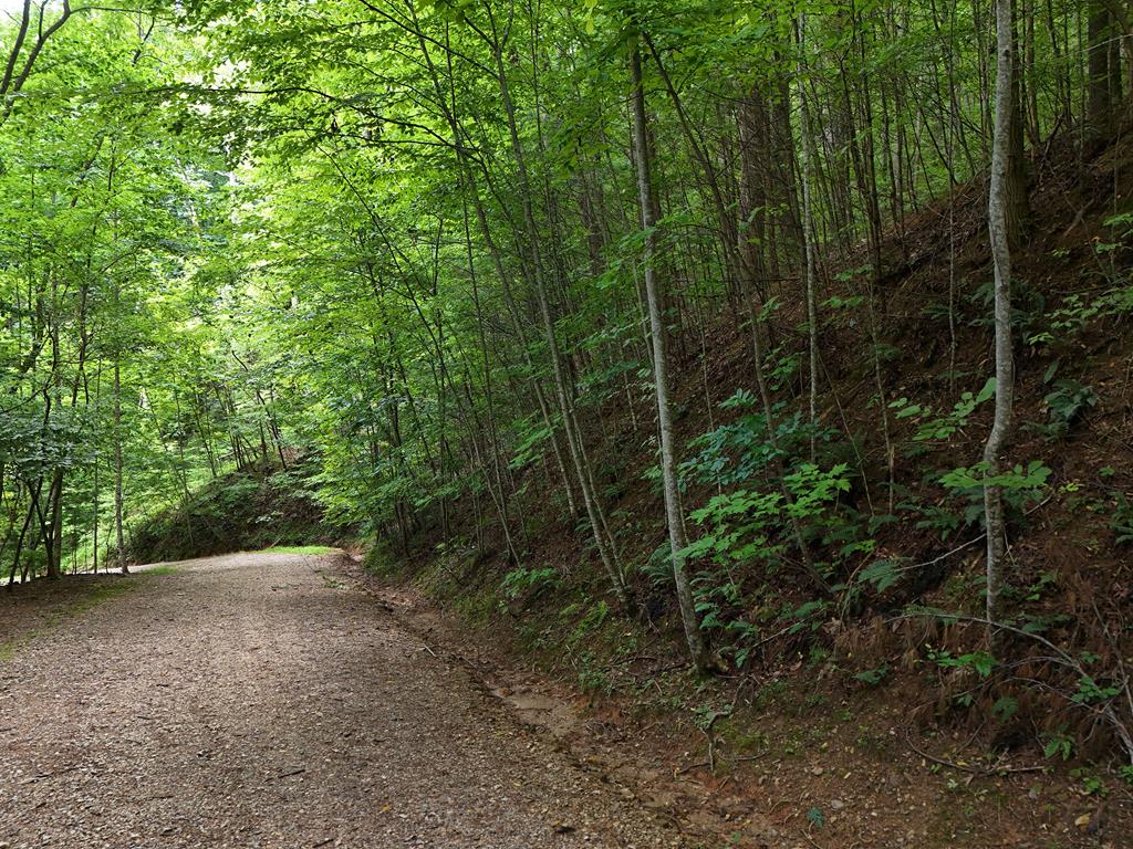 Lot 31 Highland Forge Lane Property Photo 6