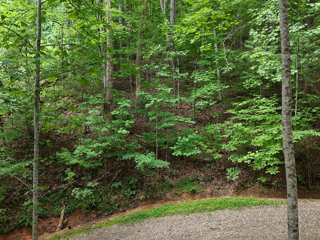Lot 31 Highland Forge Lane Property Photo 7