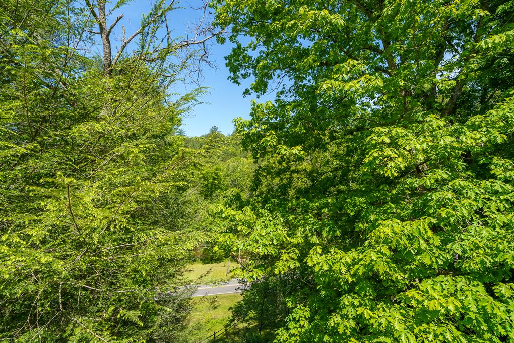 145 Rocky Top Road Property Photo 43