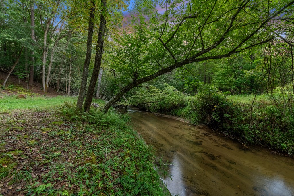215 Twin Creeks Property Photo 5