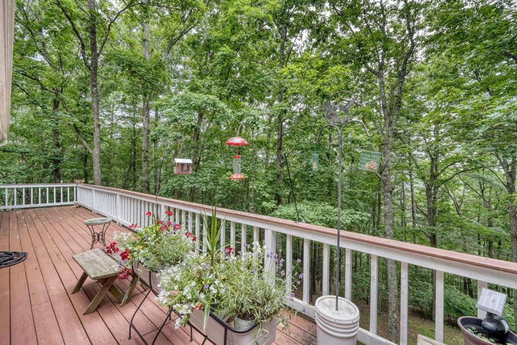171 Mountain Top Road Property Photo 49