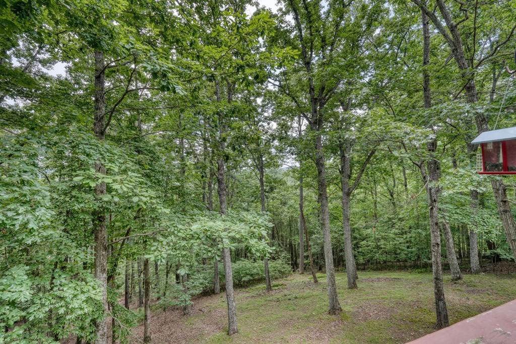 171 Mountain Top Road Property Photo 51