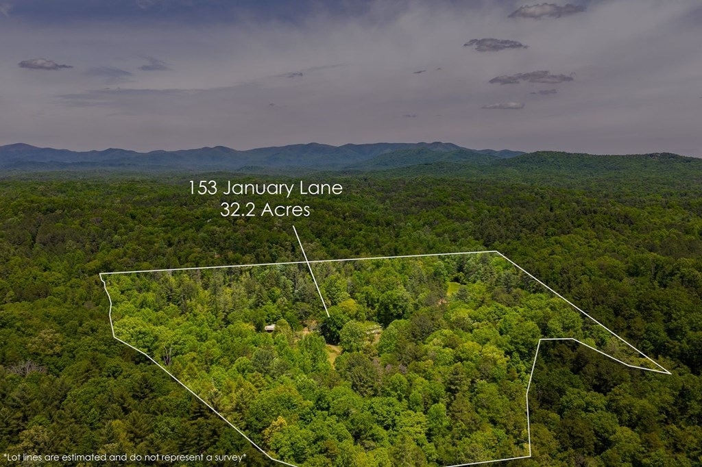 153 January Lane Property Photo 3