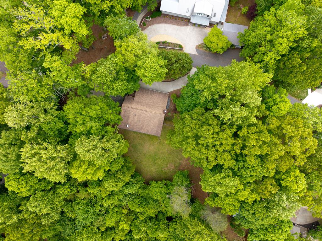 219 Lakeview Dr Property Photo 58
