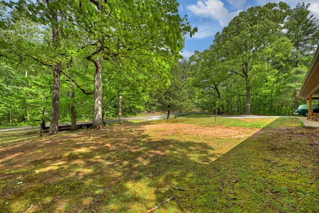 388 Jones Street Property Photo 18