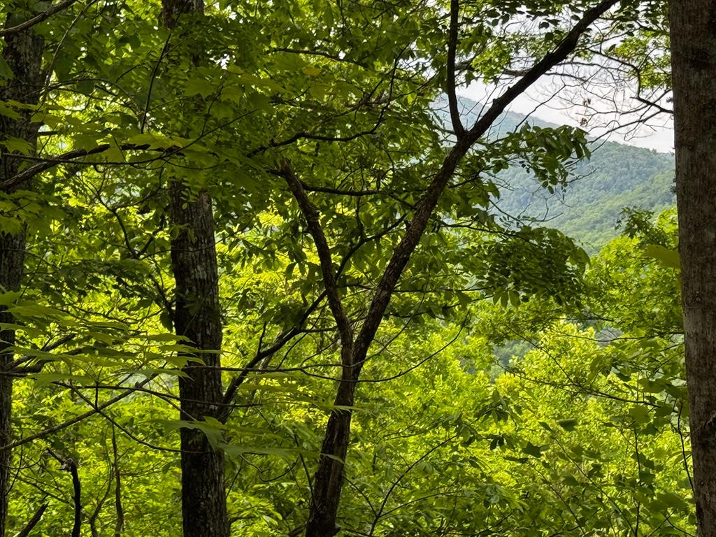 #6 Pounding Mill Overlook Property Photo 1