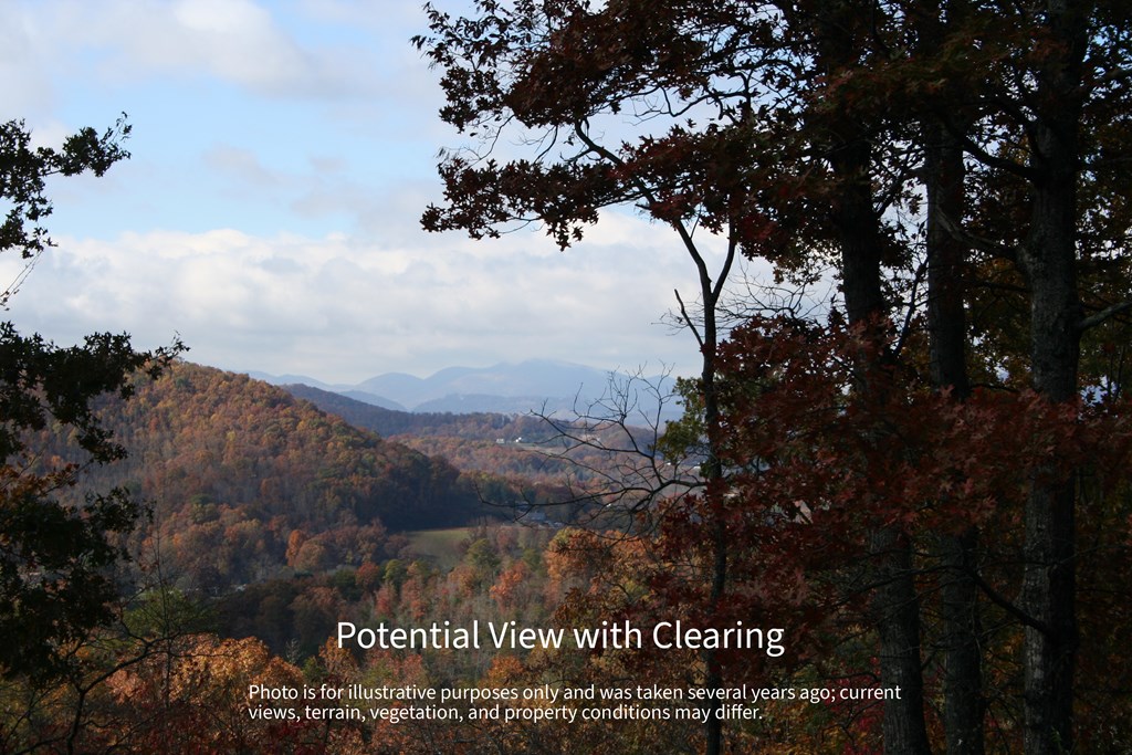 #6 Pounding Mill Overlook Property Photo 2