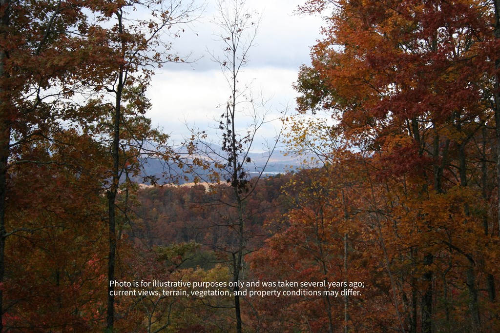 #6 Pounding Mill Overlook Property Photo 3