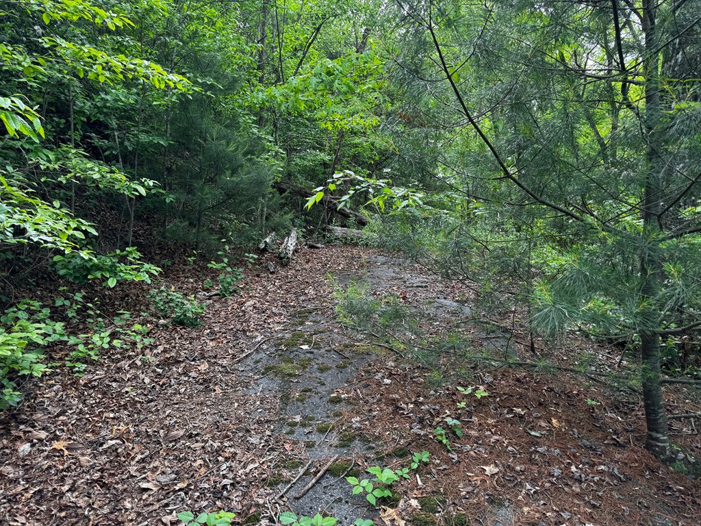 #6 Pounding Mill Overlook Property Photo 4