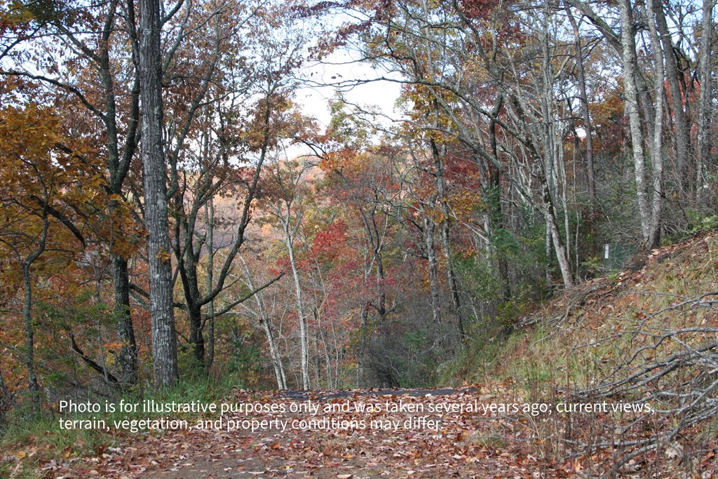 #6 Pounding Mill Overlook Property Photo 5