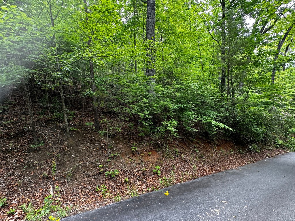 #6 Pounding Mill Overlook Property Photo 6