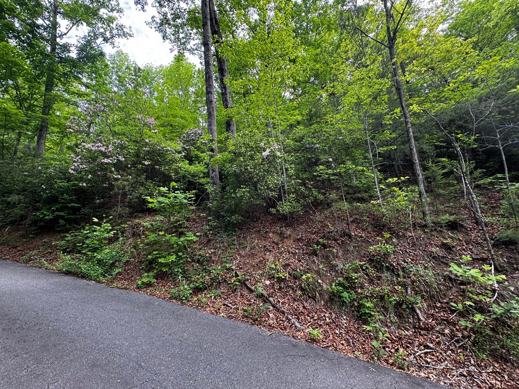#6 Pounding Mill Overlook Property Photo 7