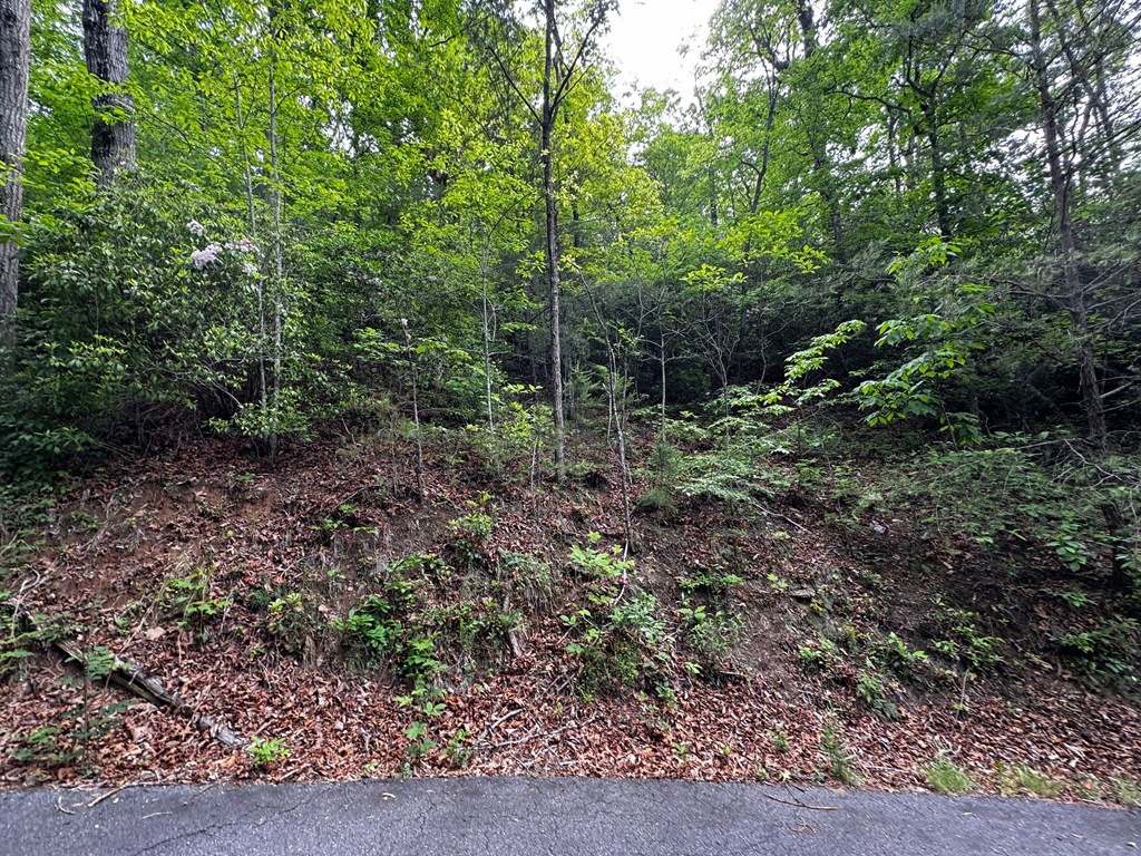 #6 Pounding Mill Overlook Property Photo 8