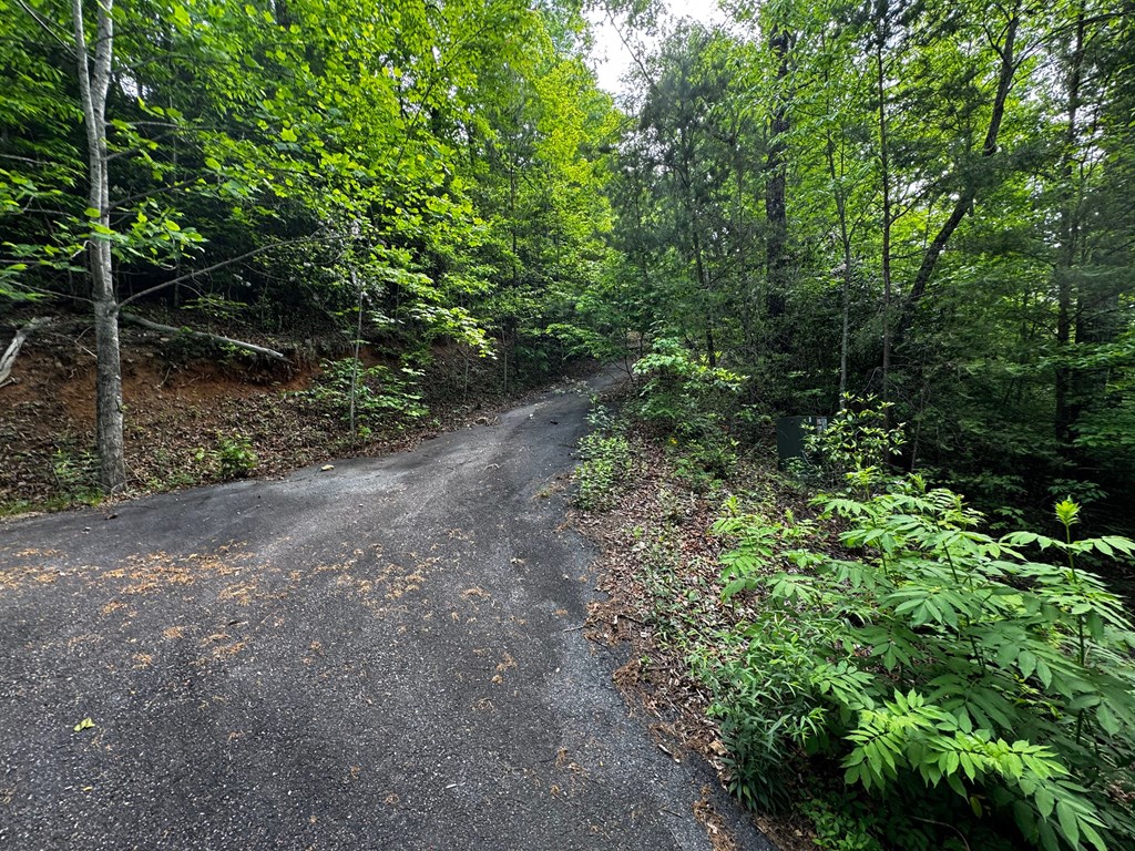 #6 Pounding Mill Overlook Property Photo 9