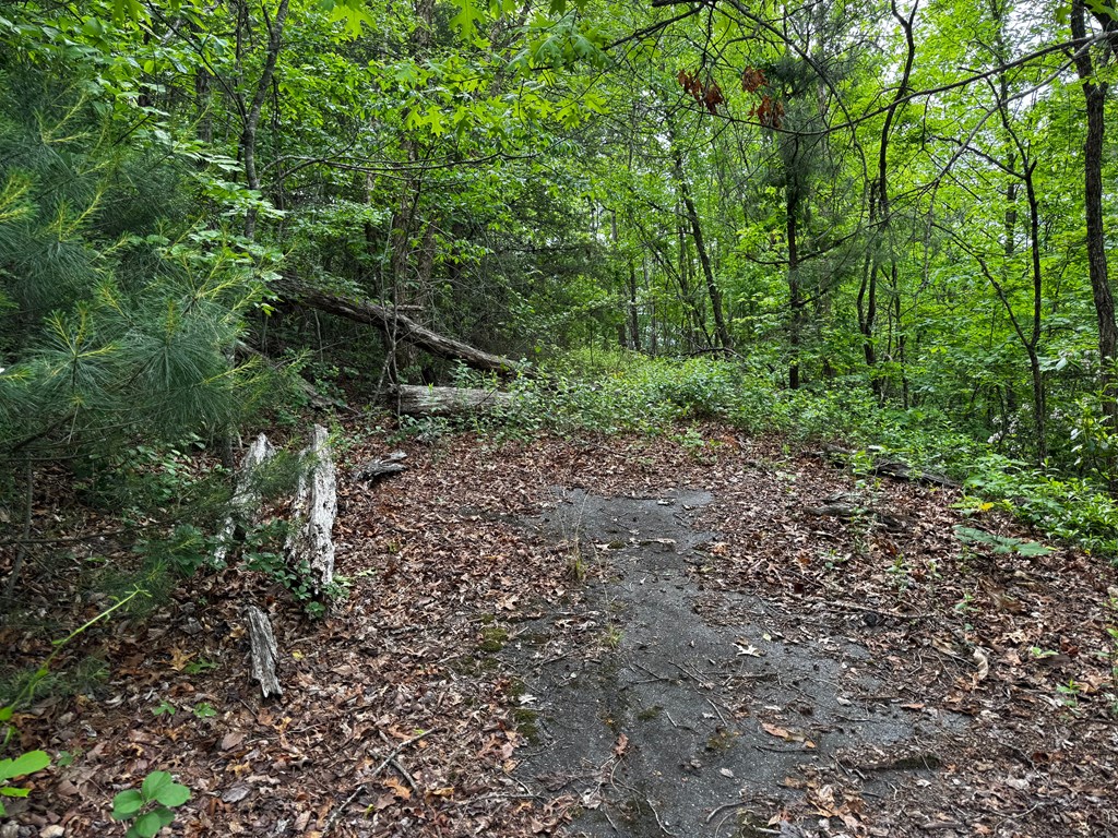 #6 Pounding Mill Overlook Property Photo 10