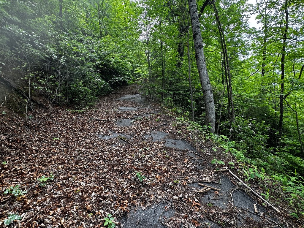 #6 Pounding Mill Overlook Property Photo 11