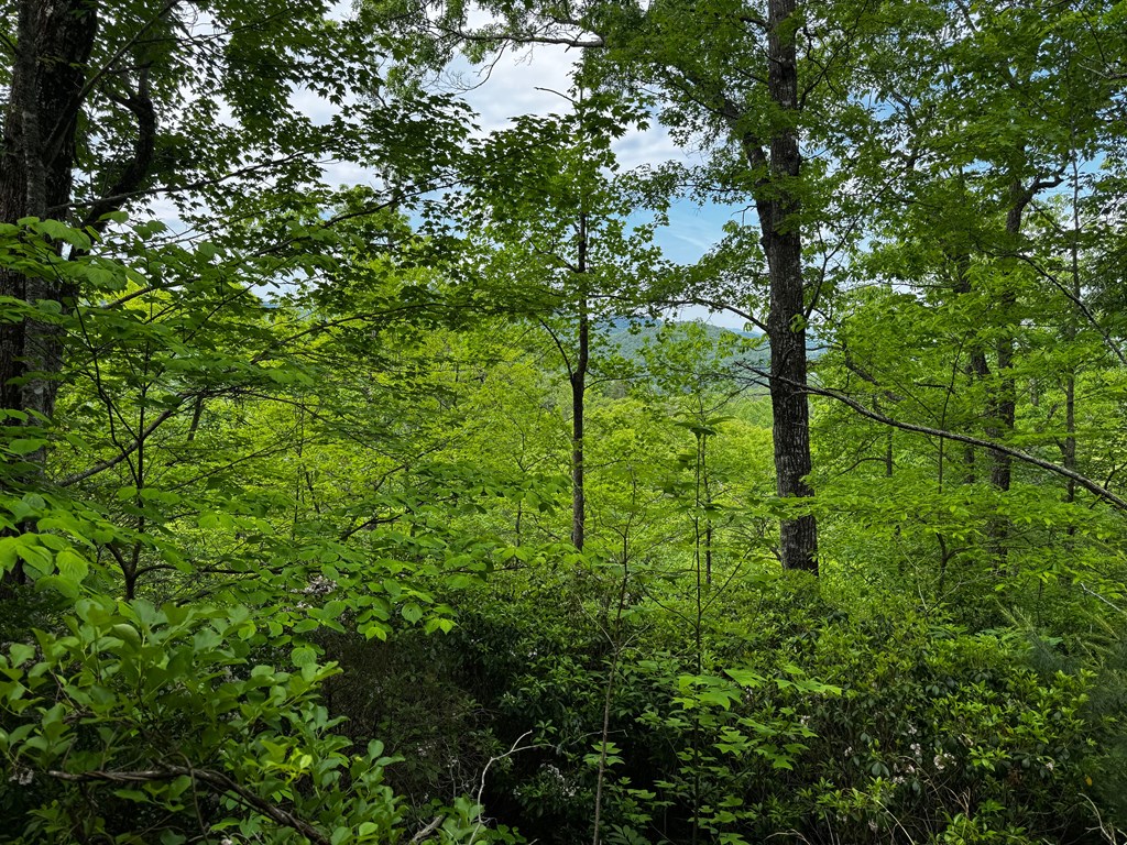 #6 Pounding Mill Overlook Property Photo 12