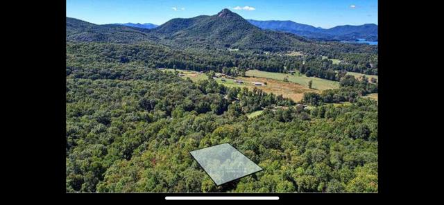 2532 Hunter Road Property Photo 45