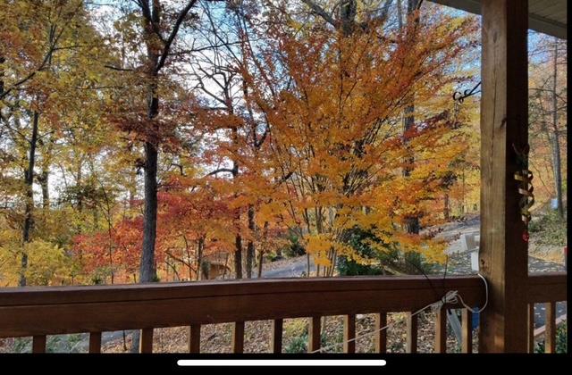 2532 Hunter Road Property Photo 54