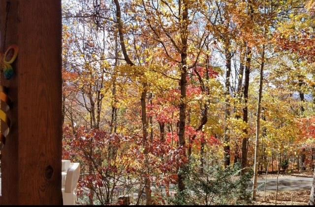 2532 Hunter Road Property Photo 55